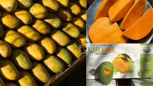 Premium Kesar Mango